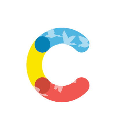 Contentful Logo with migrating birds